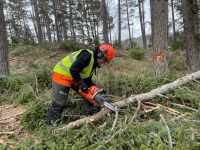 Motorsåg/röjsåg
